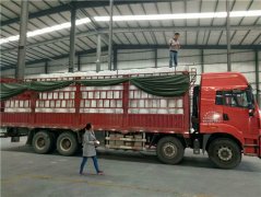 發(fā)貨現(xiàn)場